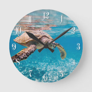 Reloj Redondo Mediano Tortuga marina
