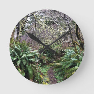 Reloj Redondo Mediano Trayecto de buceo de bosques costeros, decepción d
