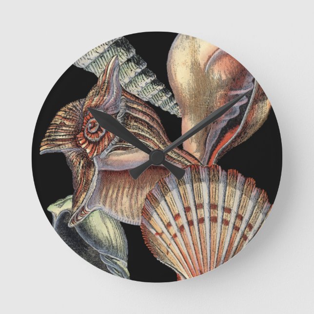 Reloj Redondo Mediano Treasures of the Sea (Anverso)