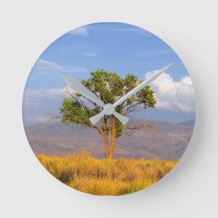Reloj Redondo Mediano Tree