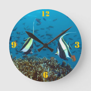 Reloj Redondo Mediano Tropical Fish Wall Clock