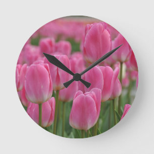 Reloj Redondo Mediano Tuercas de resorte rosado