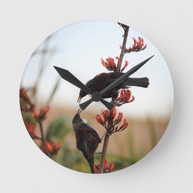 Reloj Redondo Mediano Tui birds on New Zealand flax (Anverso)
