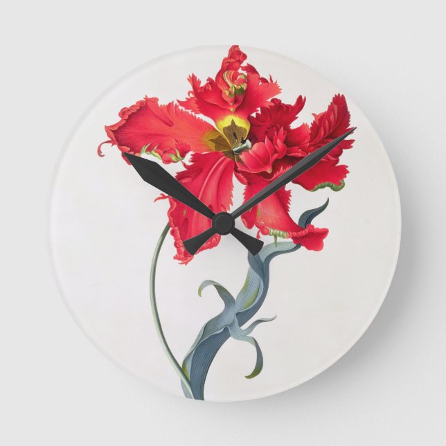 Reloj Redondo Mediano Tulip: Perroquet Rouge (Anverso)