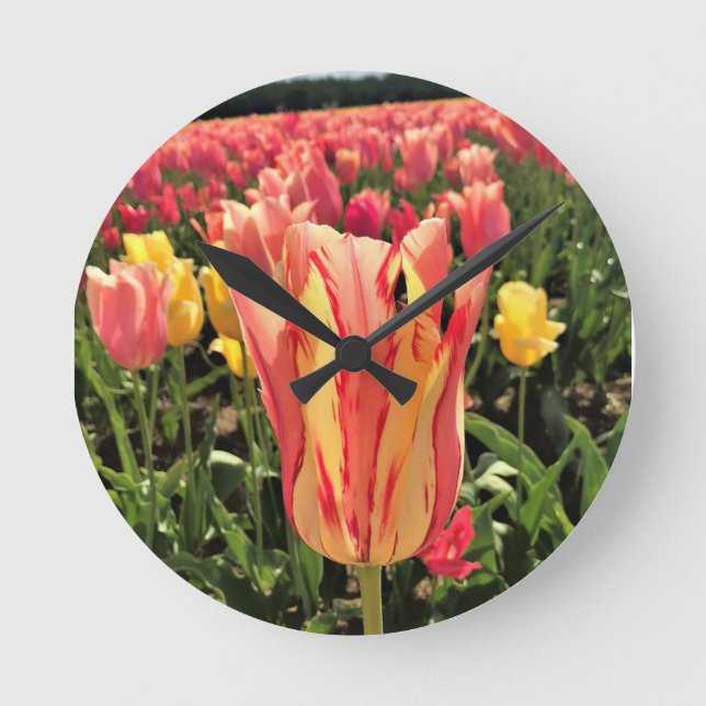 Reloj Redondo Mediano Tulipán de primavera de bonito, Oregón (Anverso)