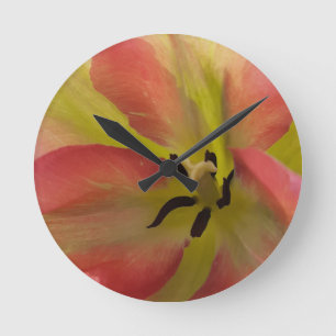 Reloj Redondo Mediano Tulipán rosa y amarillo