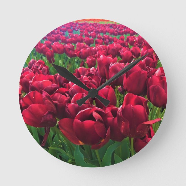 Reloj Redondo Mediano Tulipanes rojos en un campo, Oregón (Anverso)