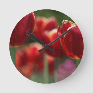 Reloj Redondo Mediano Tulips