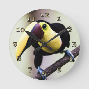 Reloj Redondo Mediano Turco de Costa Rica