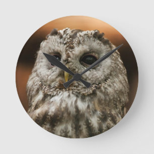 Reloj Redondo Mediano Twany Owl