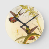 Two Colorful Hummingbirds Aiming for Same Flower