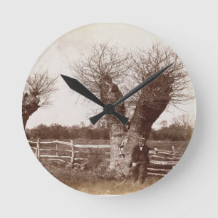 Reloj Redondo Mediano Un árbol del seto, 1852 (impresión del albumen)