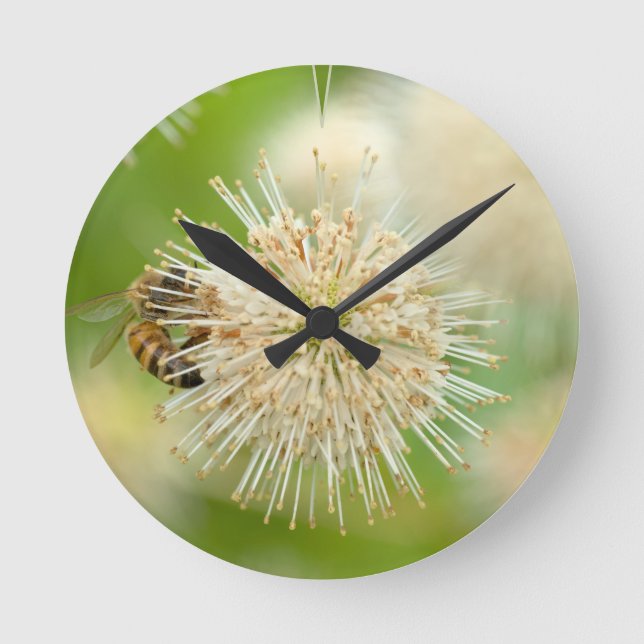 Reloj Redondo Mediano Una abeja en una flor (Anverso)