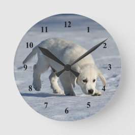 Reloj Redondo Mediano Una pequeña foto de nieve de cigalas blancas