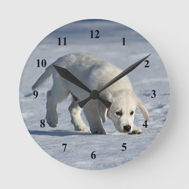 Reloj Redondo Mediano Una pequeña foto de nieve de cigalas blancas (Anverso)