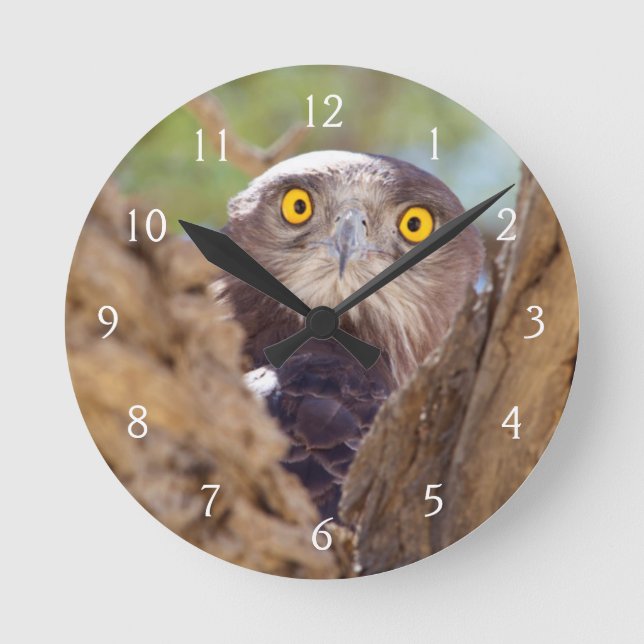 Reloj Redondo Mediano Una serpiente Blanca-breasted Eagle (Anverso)