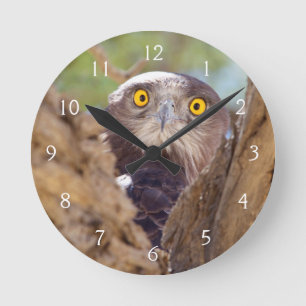 Reloj Redondo Mediano Una serpiente Blanca-breasted Eagle