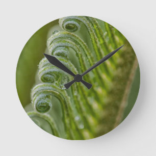 Reloj Redondo Mediano USA, Georgia, Savannah, Close-Up Of New Fronds