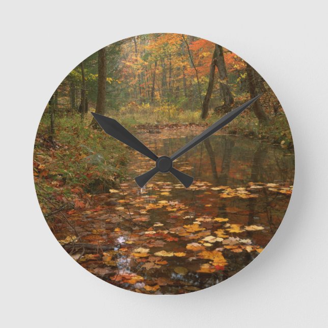 Reloj Redondo Mediano USA, Virginia, Autumn In Douthat State Park (Anverso)