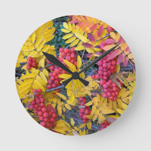 Reloj Redondo Mediano USA, Washington, Western Mountain Ash, Okanogan