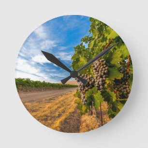 Reloj Redondo Mediano USA, Washington, Yakima Valley. Merlot Grapes