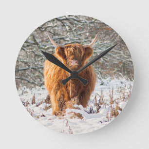 Reloj Redondo Mediano vaca Highland escocesa en la nieve