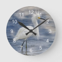 Vida salvaje de animales Snowy Egret