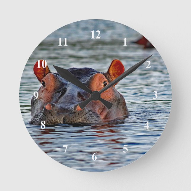 Reloj Redondo Mediano Vida silvestre Hippo Water Photo (Anverso)
