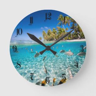 Reloj Redondo Mediano Vida submarina