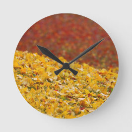 Reloj Redondo Mediano Vistas Otoño Hojas Otoñales