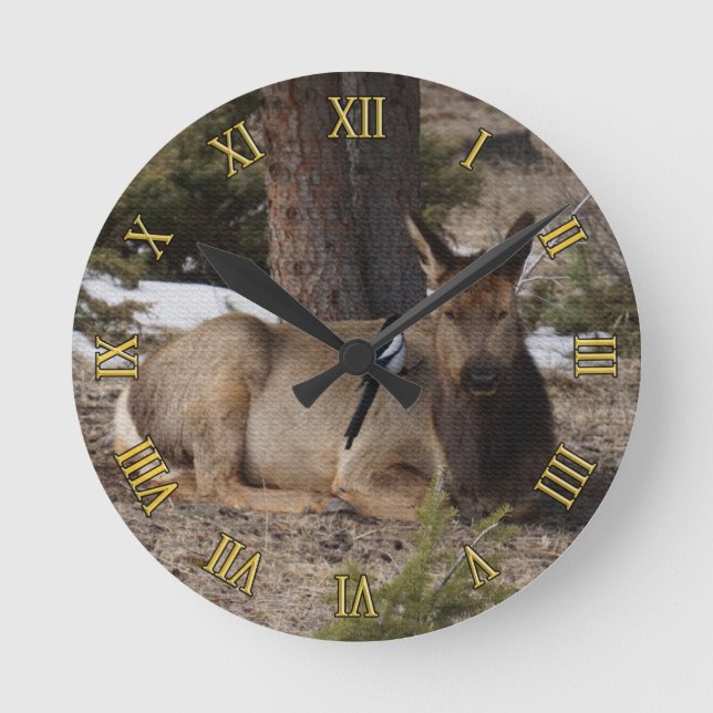 Reloj Redondo Mediano Wapiti (Elk) y Magpie (Anverso)