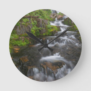 Reloj Redondo Mediano Washington, Parque Nacional Mount Rainier 2