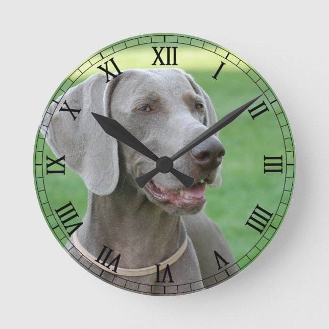 Reloj Redondo Mediano Weimaraner (Anverso)