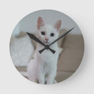 Reloj Redondo Mediano White cat Zazzle_Growshop.