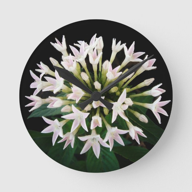 Reloj Redondo Mediano White Pentas (Anverso)