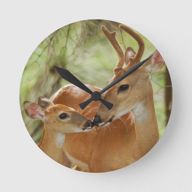 Reloj Redondo Mediano Whitetail Buck And Fawn Bonding (Anverso)