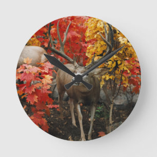 Reloj Redondo Mediano Whitetail En Otoño
