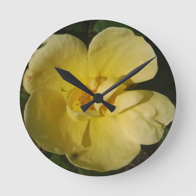 Reloj Redondo Mediano Wild Yellow Rose (Anverso)