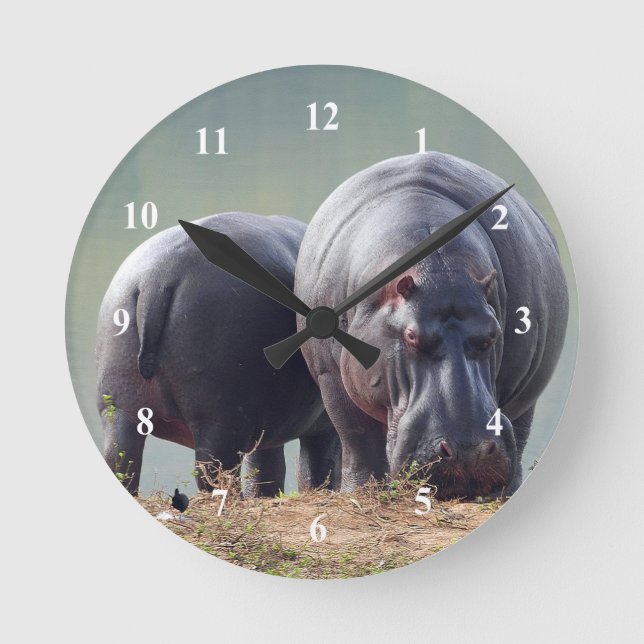 Reloj Redondo Mediano Wildlife Hippo Photo (Anverso)