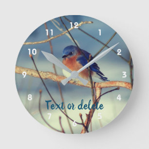 Reloj Redondo Mediano Winter Bluebird Personalized  