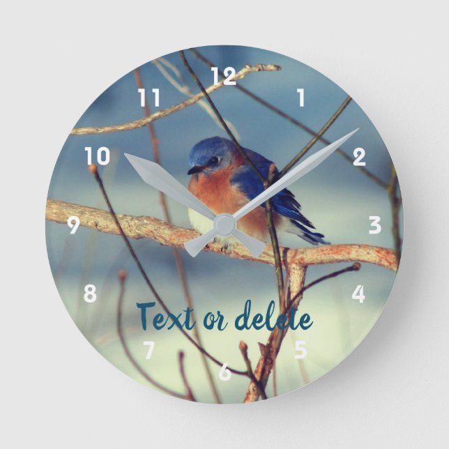 Reloj Redondo Mediano Winter Bluebird Personalized   (Anverso)