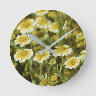 Reloj Redondo Mediano Yellow Wildflowers