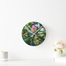 Yema de flor de rododendro