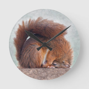 Reloj Redondo Mediano Yoga Squirrel Clock