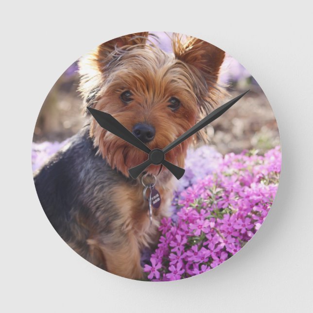 Reloj Redondo Mediano Yorkshire Terrier (Anverso)