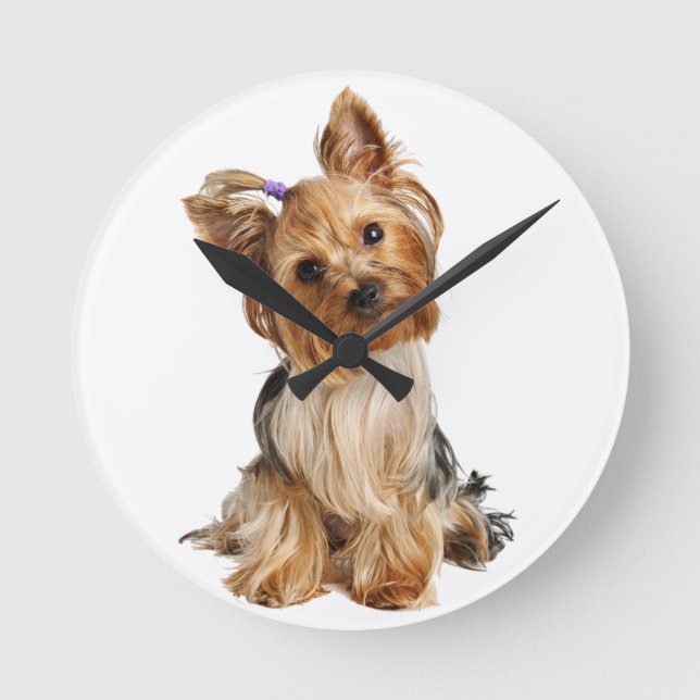 Reloj Redondo Mediano Yorkshire Terrier Puppy (Anverso)