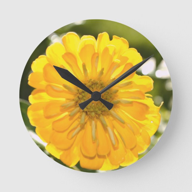 Reloj Redondo Mediano Zinnia amarilla, margarita amarilla, flor amarilla (Anverso)