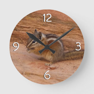 Reloj Redondo Mediano Zion Chipmunk sobre las rocas rojas