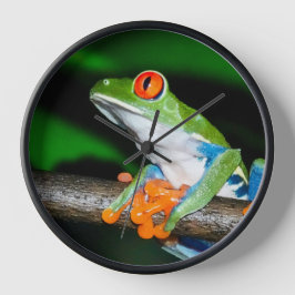 Reloj Reloj, Rana de árbol de ojos rojos