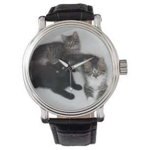 Reloj rescatado de tres gatitos